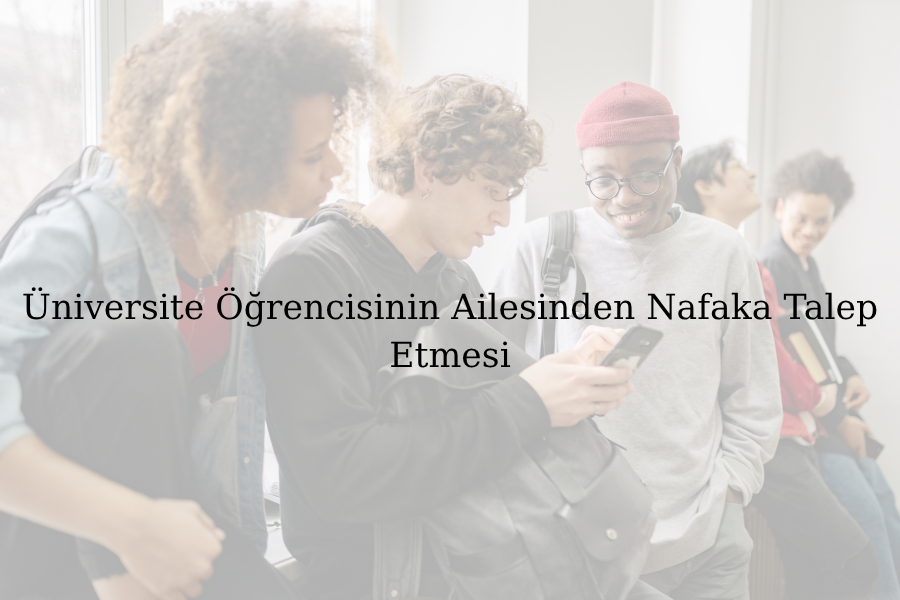 Paragraf metniniz 13